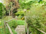 a-vendre-maison-Cezy-jardin-yonne-89